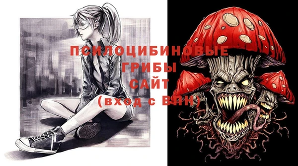 ECSTASY Алзамай