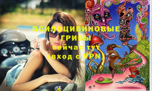 ECSTASY Алзамай