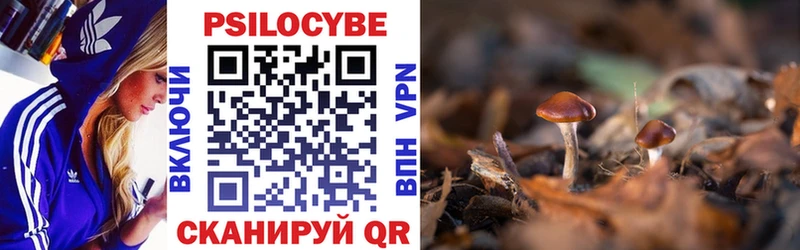 мега маркетплейс  Арск  Галлюциногенные грибы Magic Shrooms 